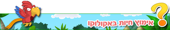 אקולוקו Ekoloko - faq title  iw