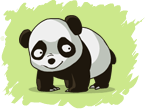 Animals Panda
