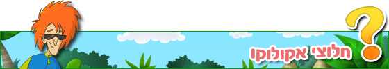 Faq Title 4 Iw